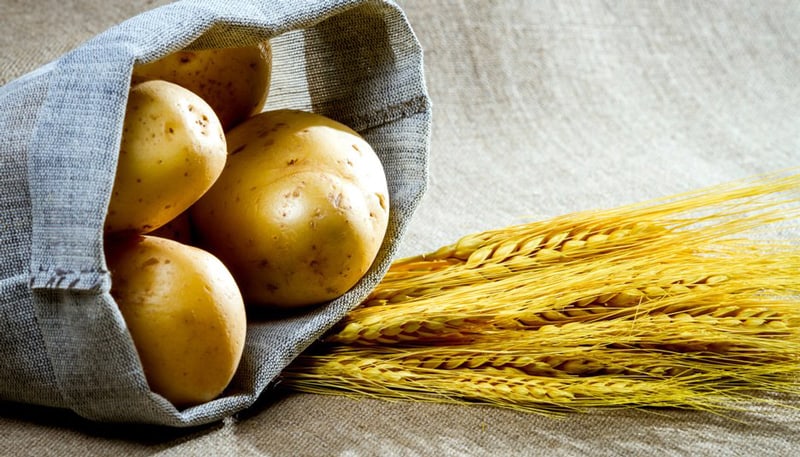 Potato Vodka vs. Grain Vodka: Understanding the Differences