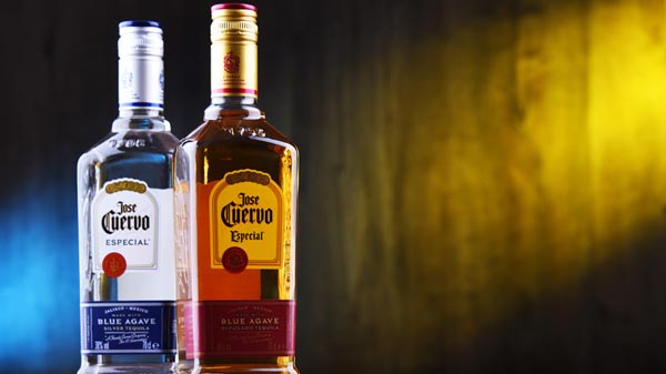 Introduction to Jose Cuervo Tequila